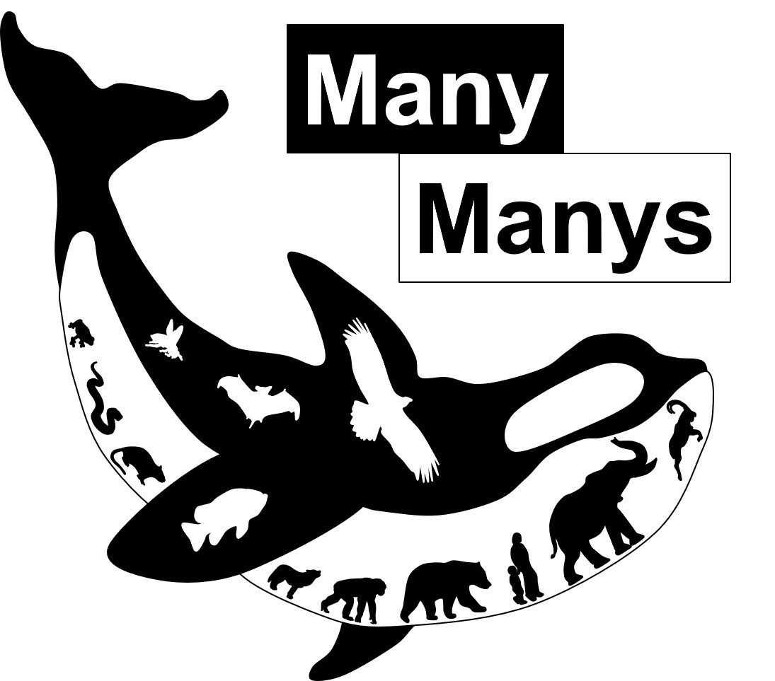 ManyManys logo